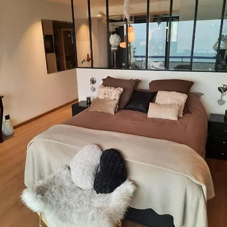 Apartman Cocon Chic Aix Les Bains *