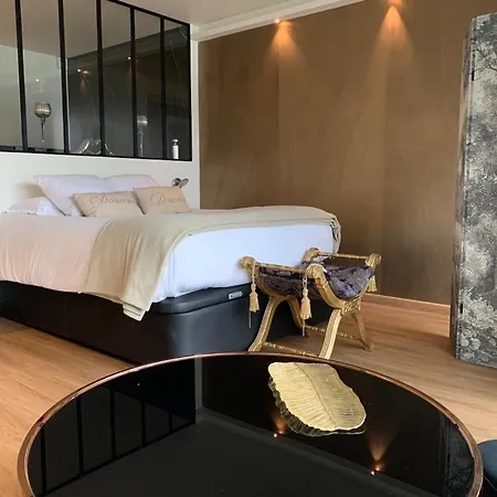 Cocon Chic Aix Les Bains Apartment